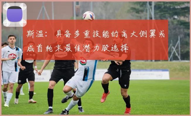 斯温：具备多重技能的高大侧翼或成首轮末最佳潜力股选择