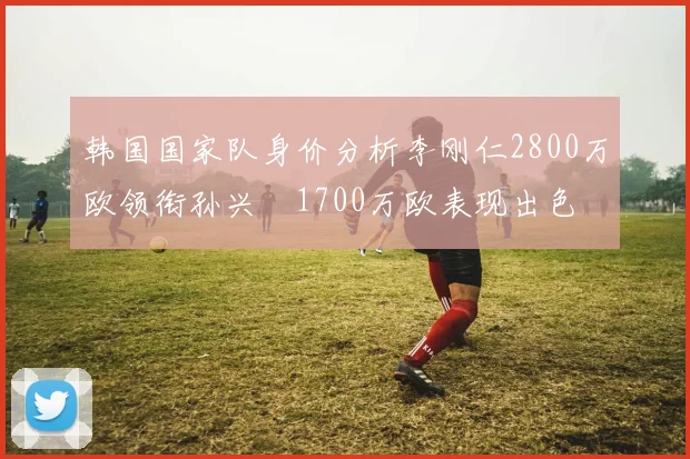 韩国国家队身价分析李刚仁2800万欧领衔孙兴慜1700万欧表现出色